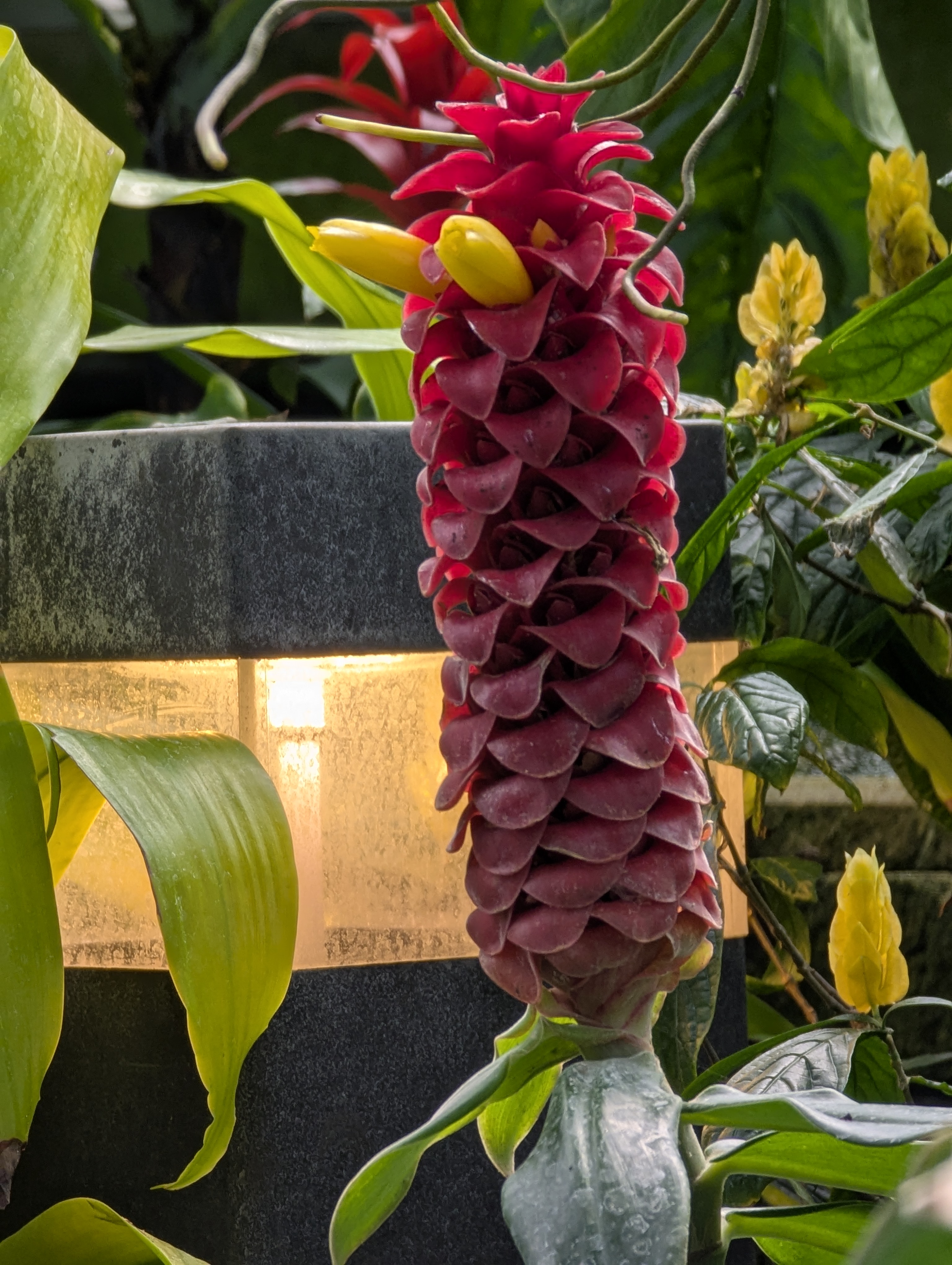 Birthday Trip to Canada, Edmonton, Pyramids, Muttart Observatory